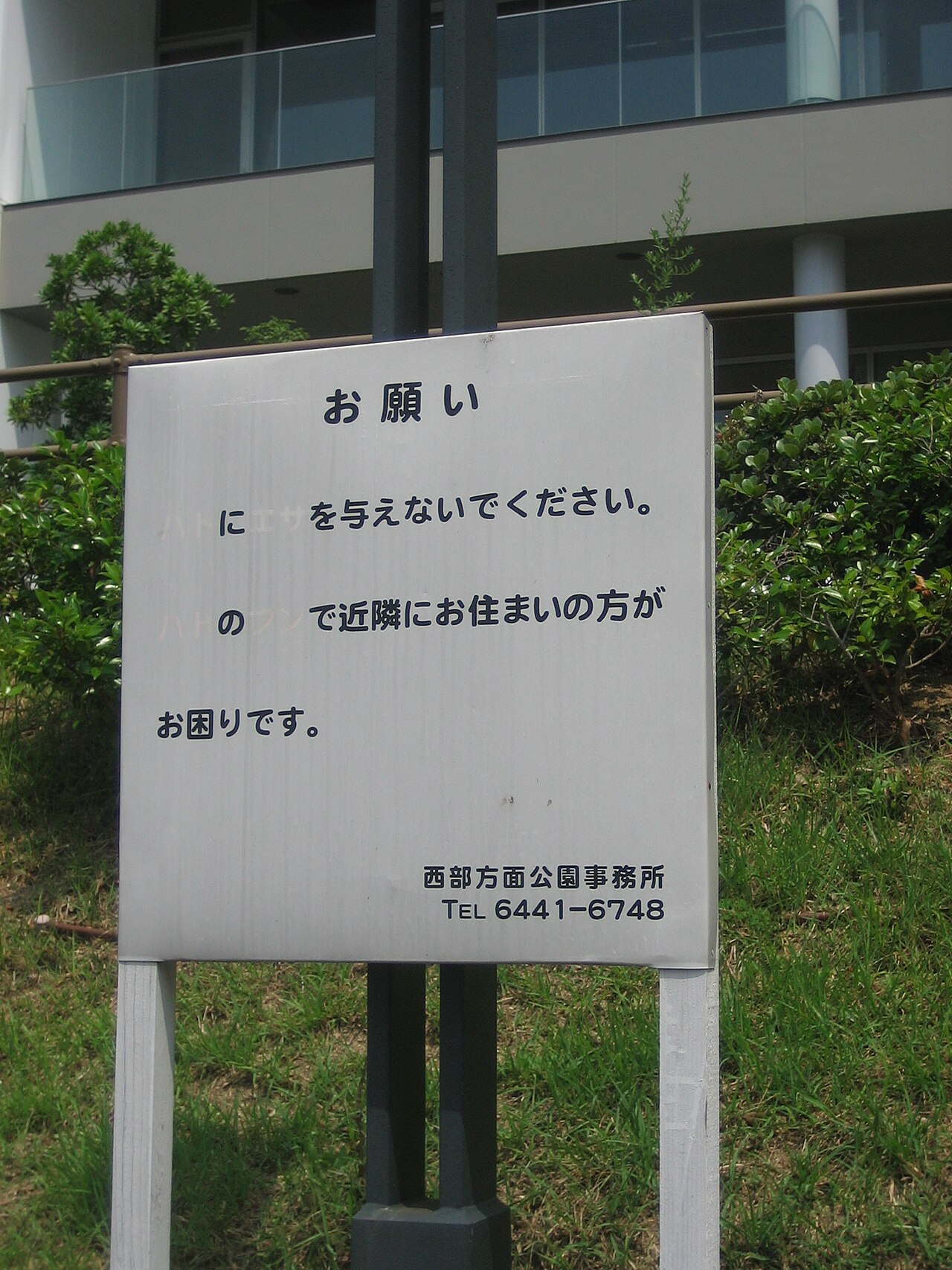 Canon PowerShot 30 作例