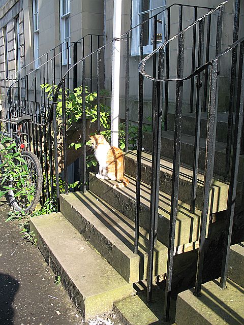 Canon PowerShot A640 sample photo