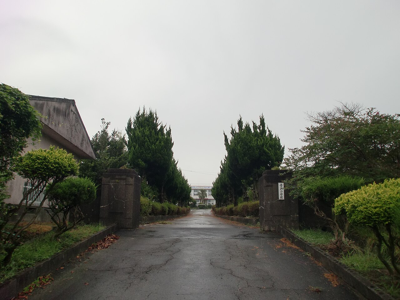 Casio Exilim EX-Z270 作例