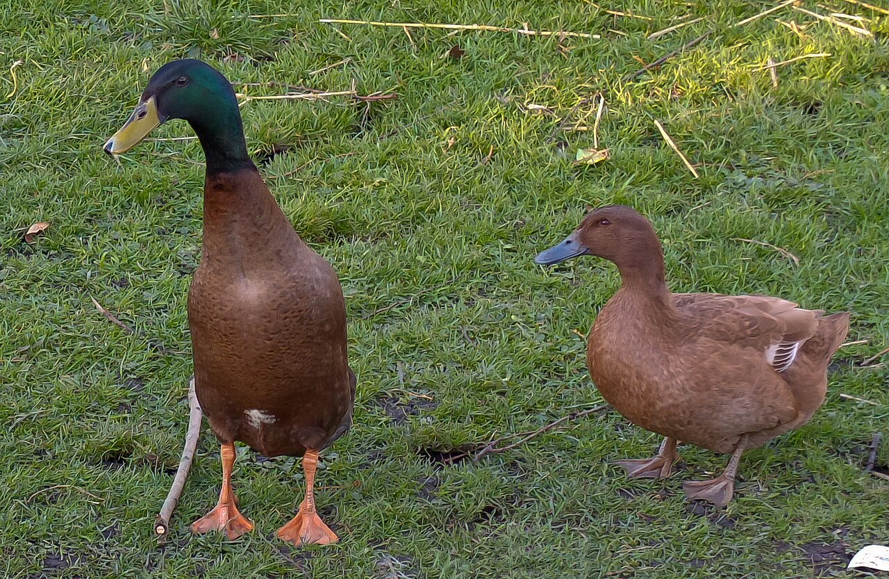 FUJIFILM X10 sample photo