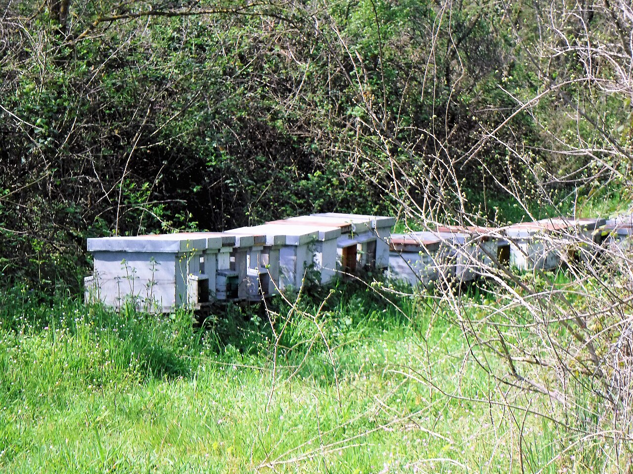 Fujifilm XP90 sample photo