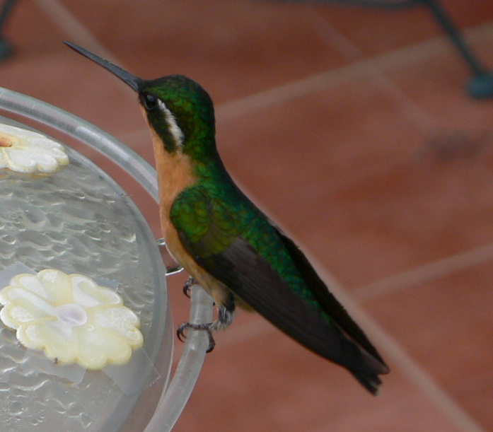 Leica D-LUX 2 作例
