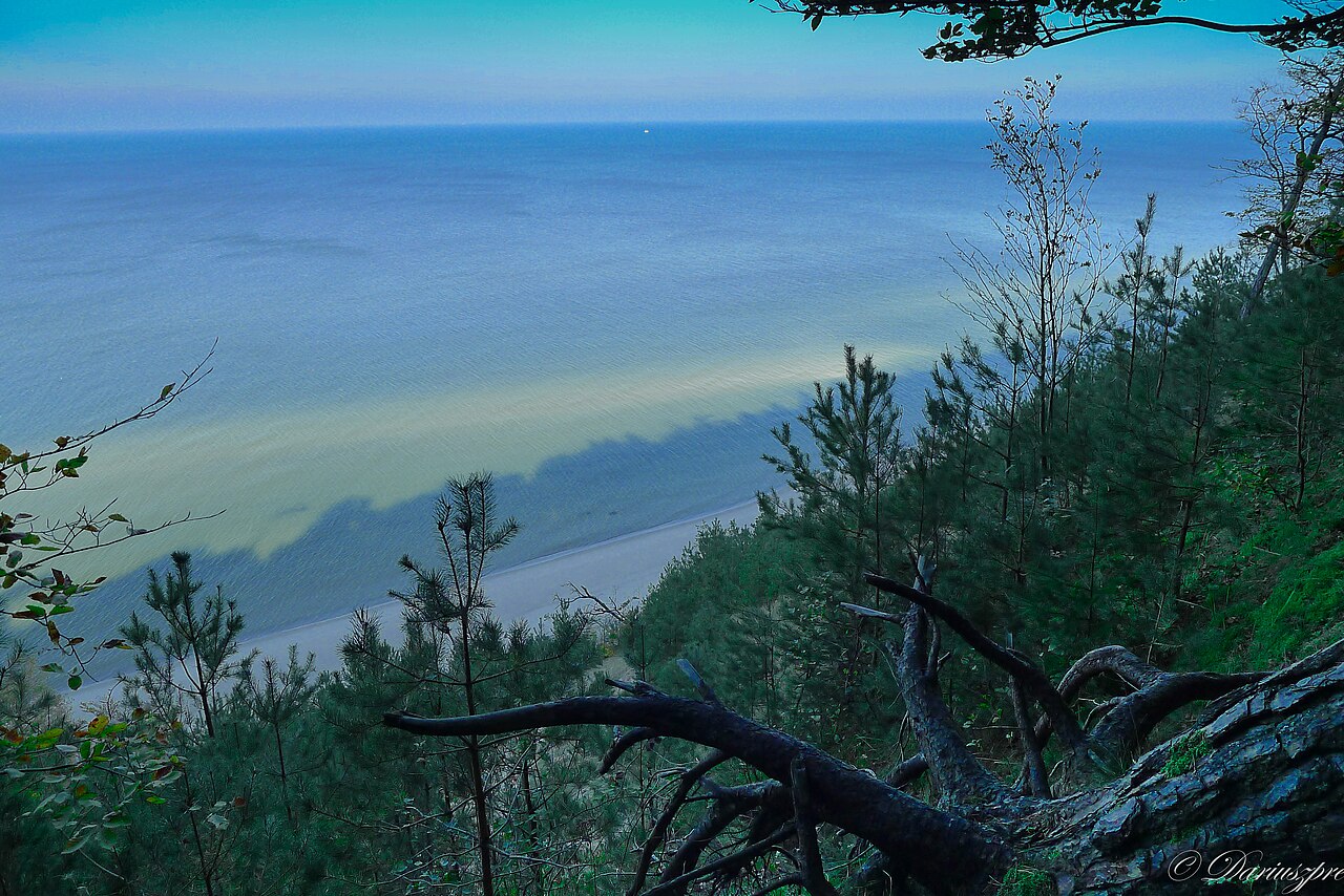 Leica D-LUX 5 作例