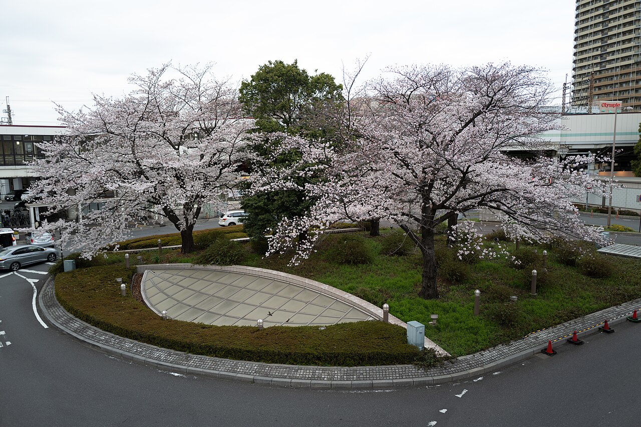 Leica Q2 sample photo