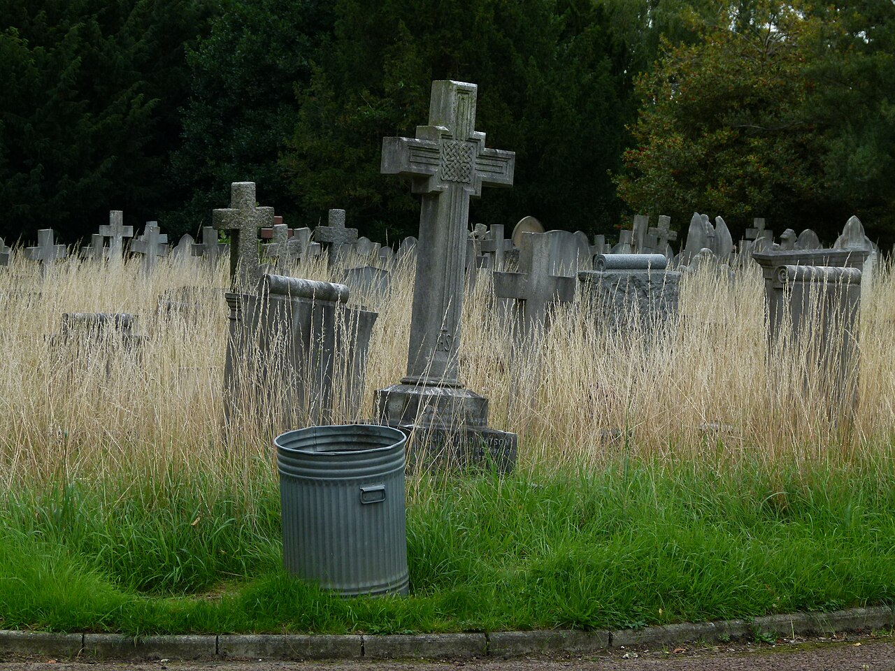 Leica V-Lux 2 sample photo