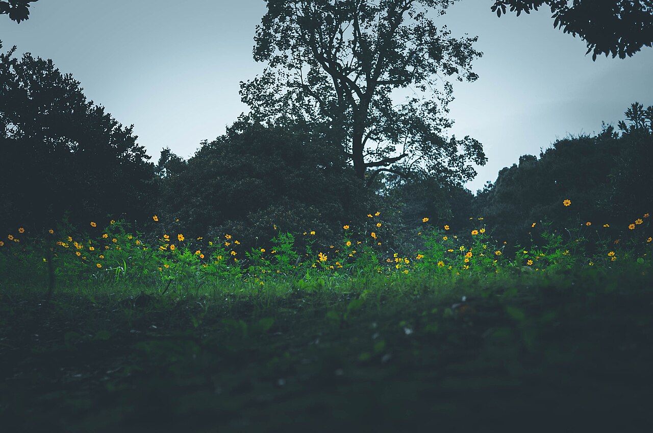 Leica X (Typ 113) 作例