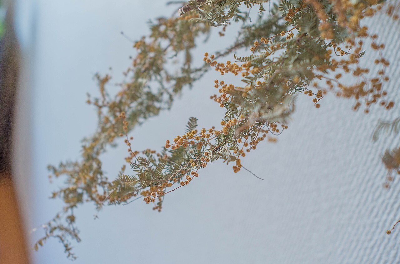 Leica X (Typ 113) 作例