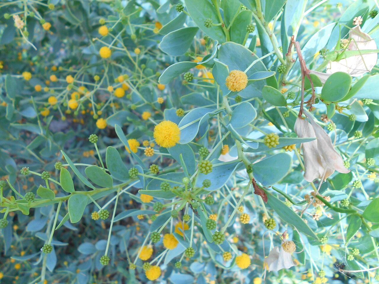 Nikon Coolpix A100 sample photo