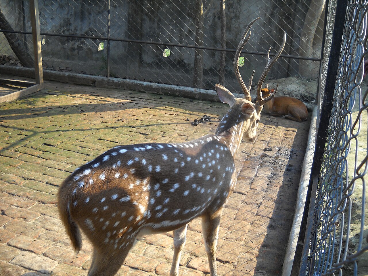Nikon Coolpix L20 sample photo