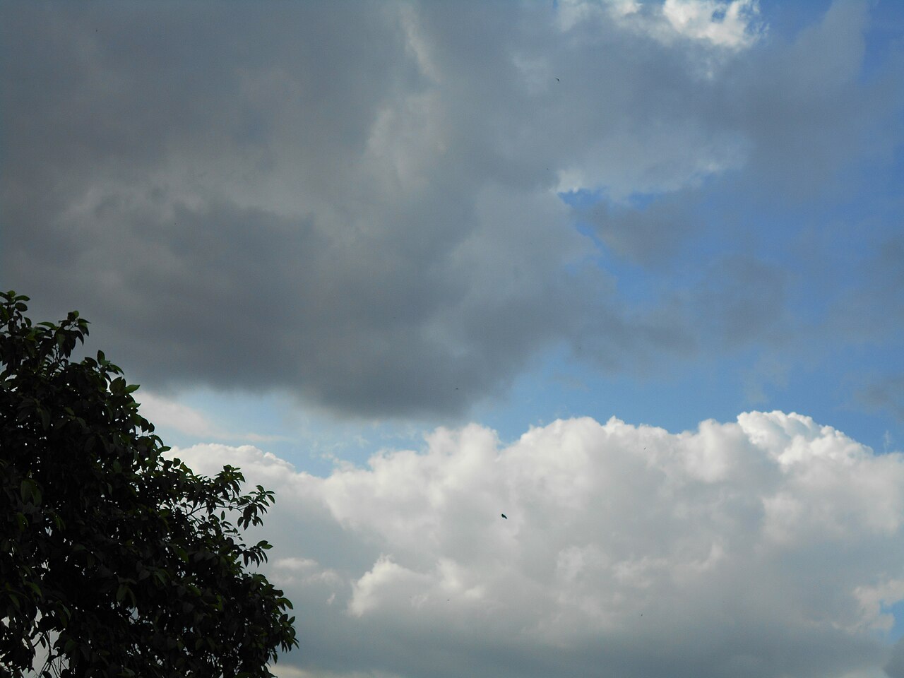 Nikon Coolpix S2900 sample photo