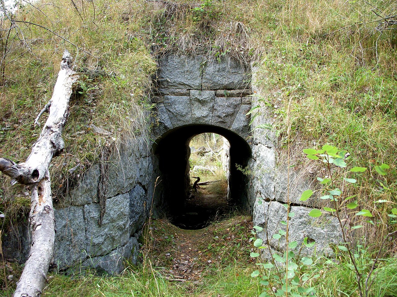 Nikon COOLPIX S51 作例