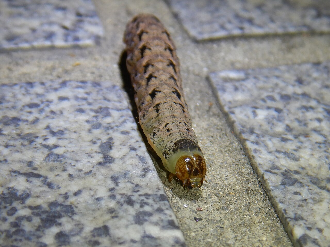 Nikon COOLPIX W300 sample photo