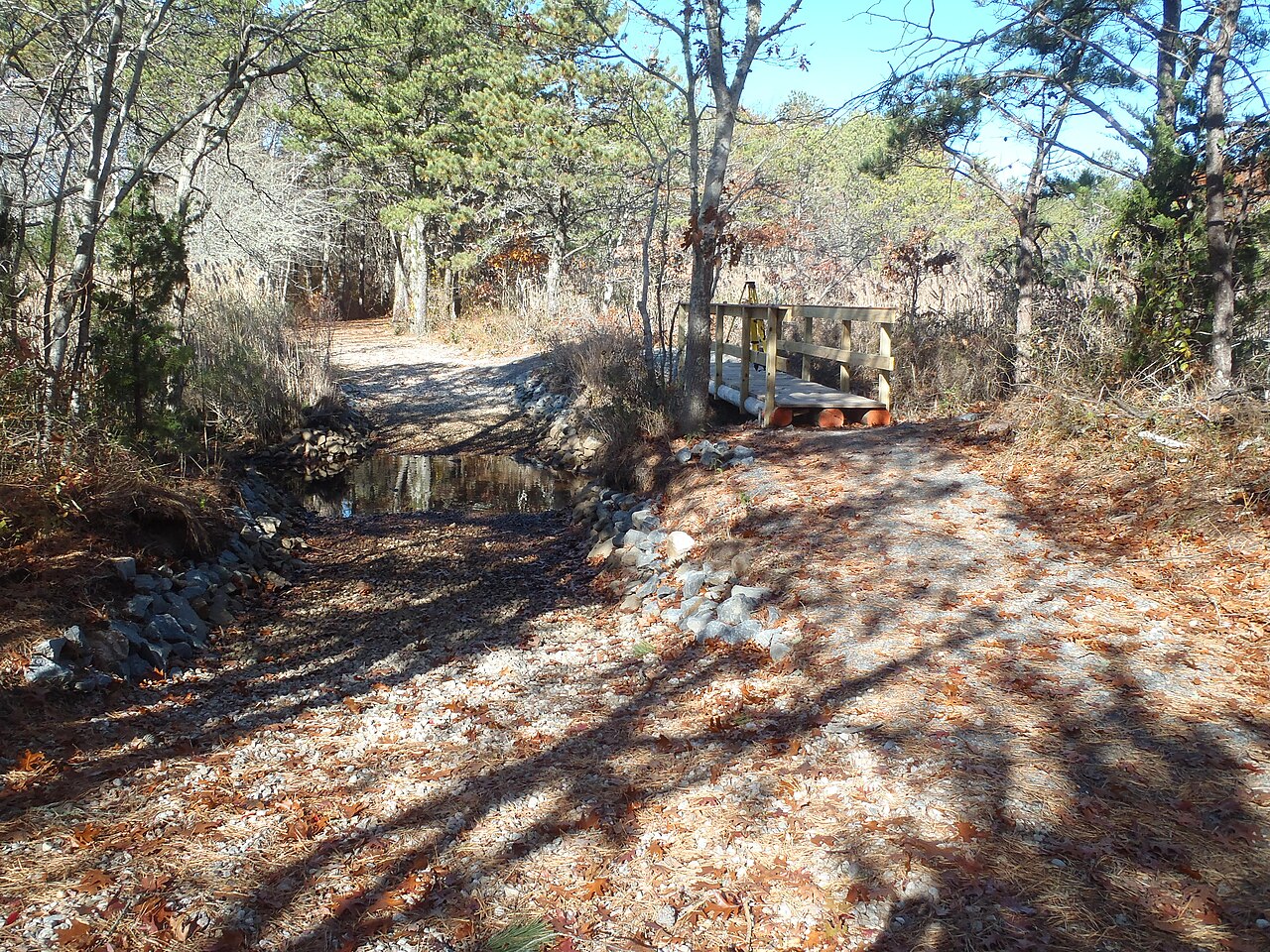 Olympus TG-610 作例