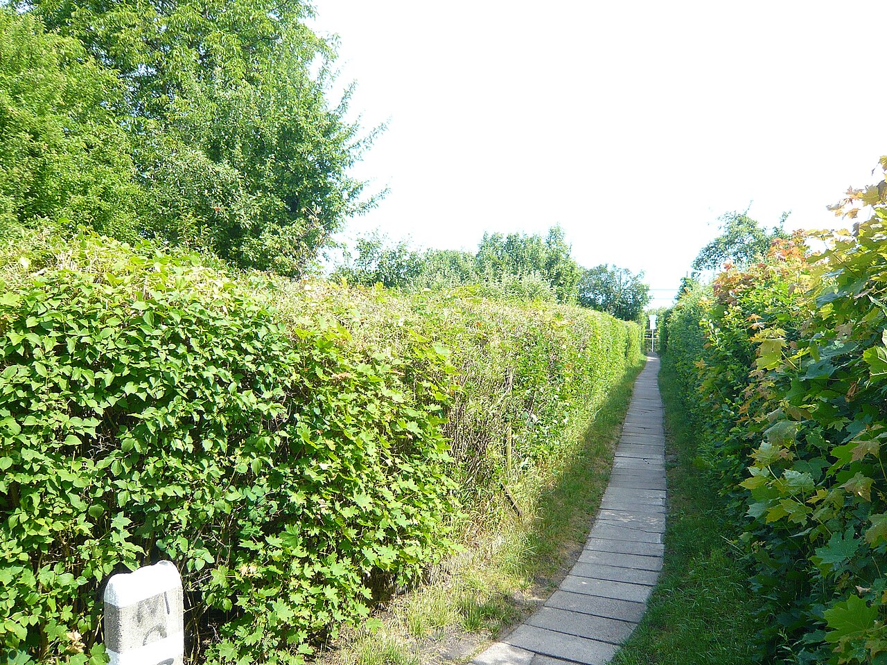Panasonic LUMIX DMC-FX30 sample photo