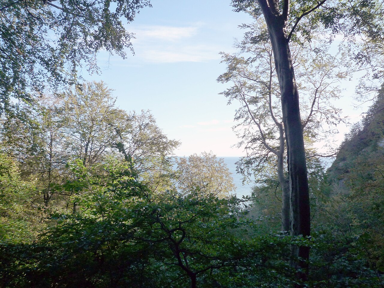 Panasonic LUMIX DMC-FX37 作例
