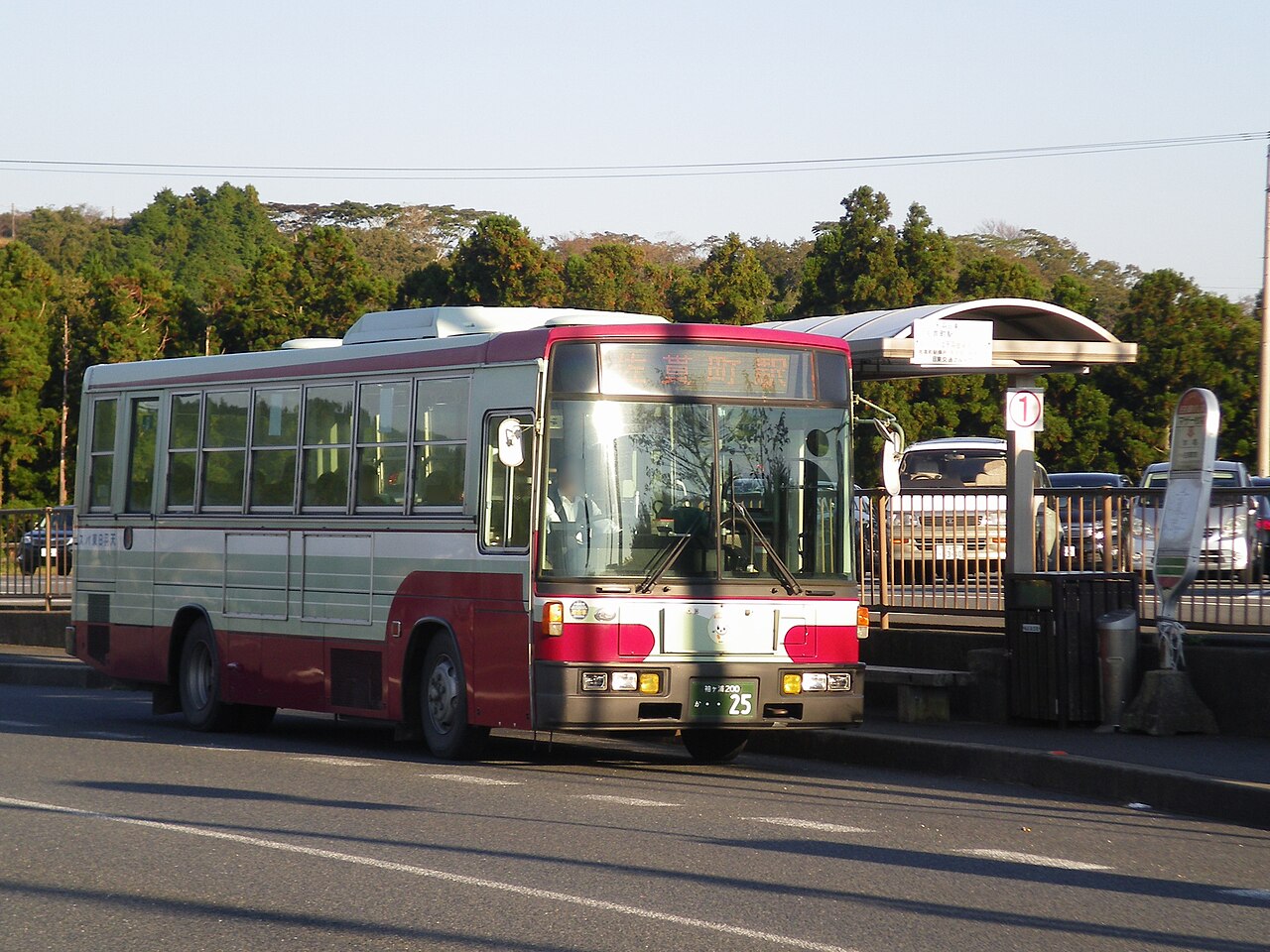 Pentax Optio E70 sample photo