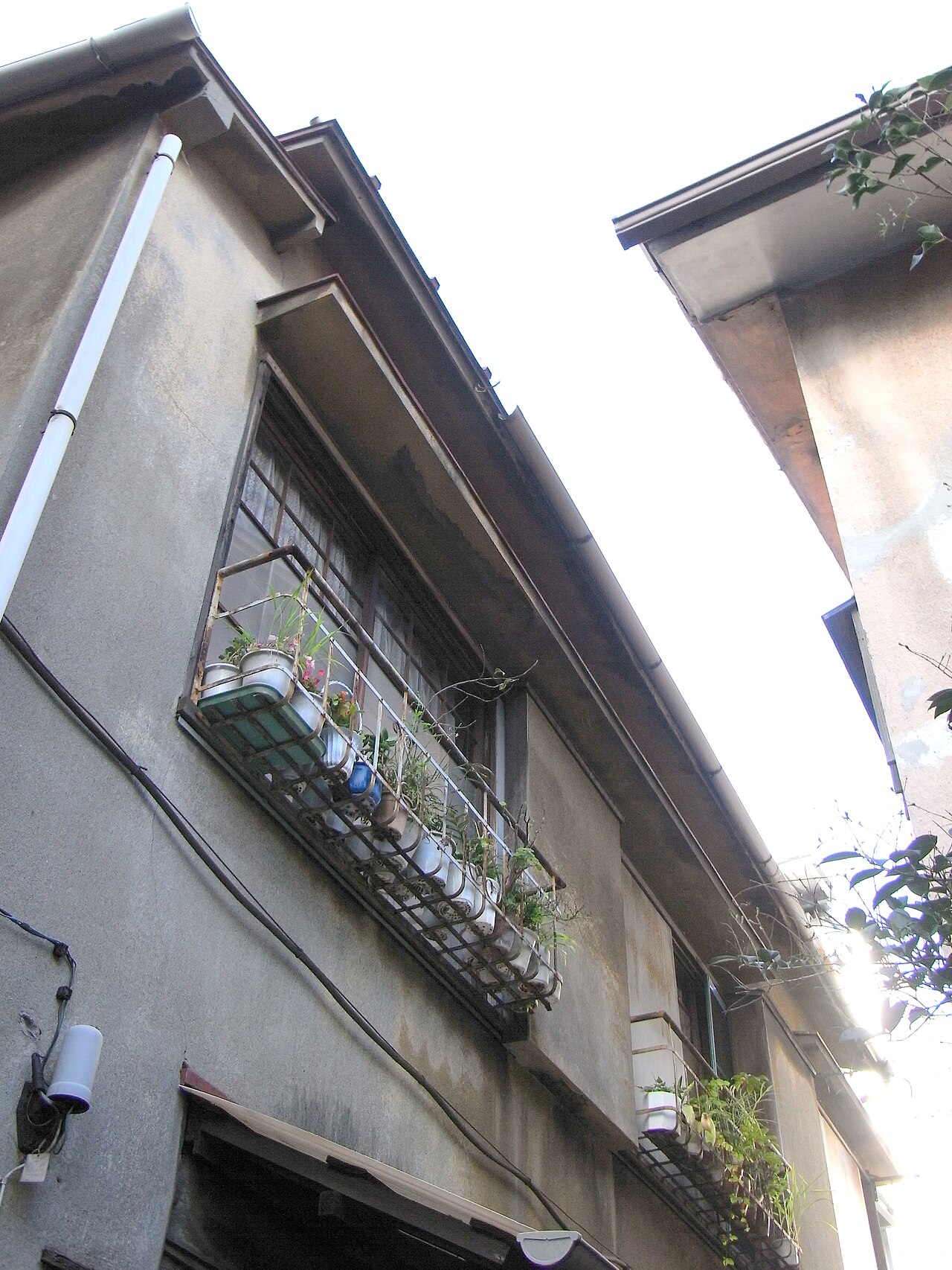 RICOH R8 sample photo