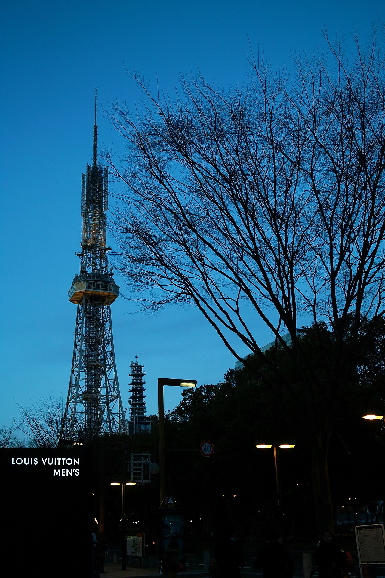 SIGMA DP2s sample photo