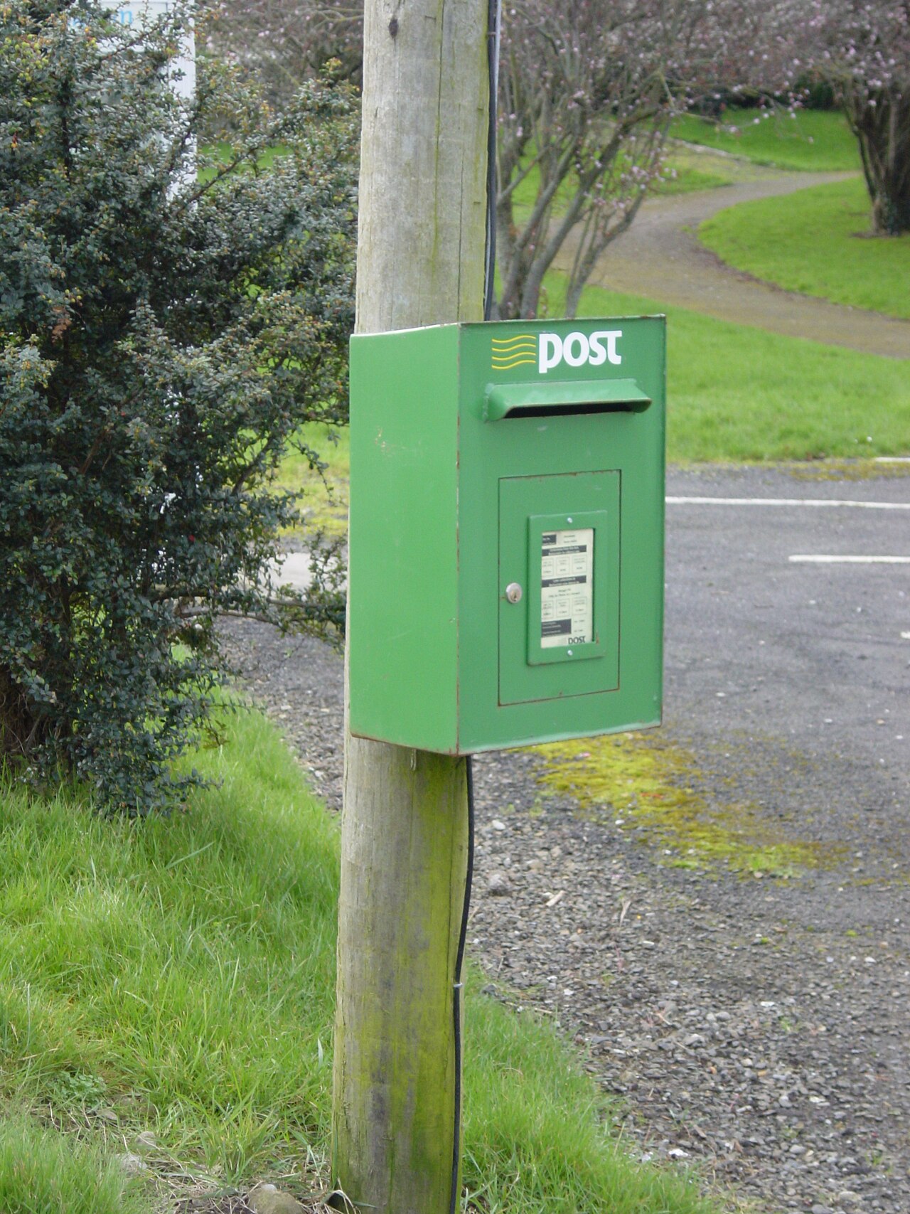 Sony Cyber-shot DSC-P9 作例