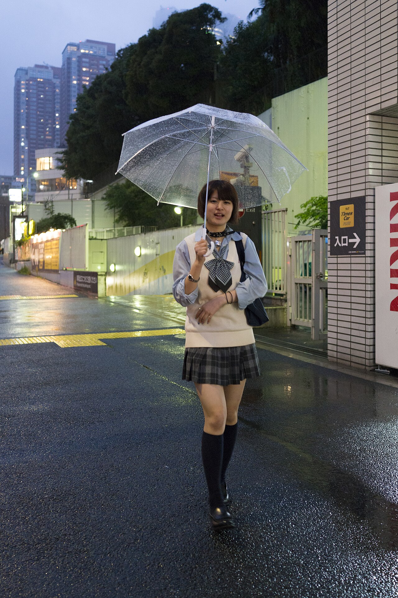 Sony RX1 sample photo