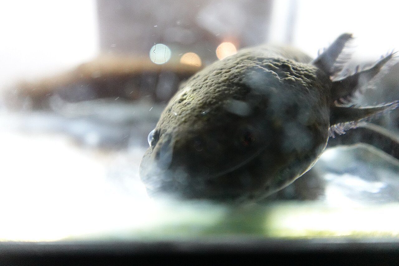 Sony ZV-1F sample photo